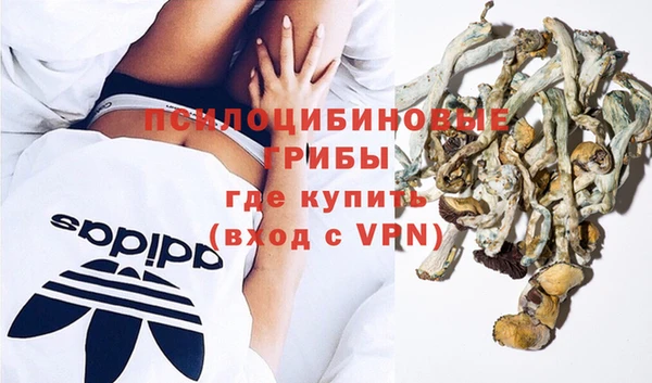 МДПВ Михайлов