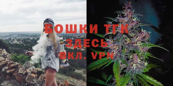 СК Мегион
