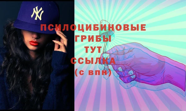 СК Мегион