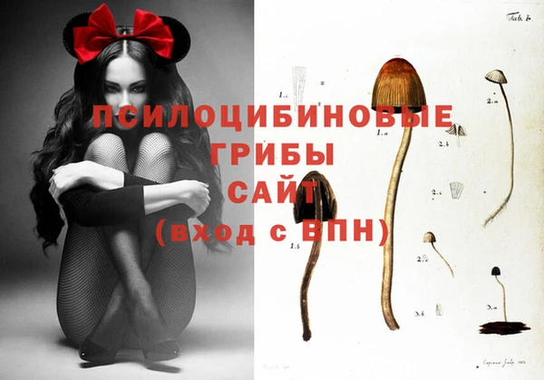 мефедрон Медвежьегорск